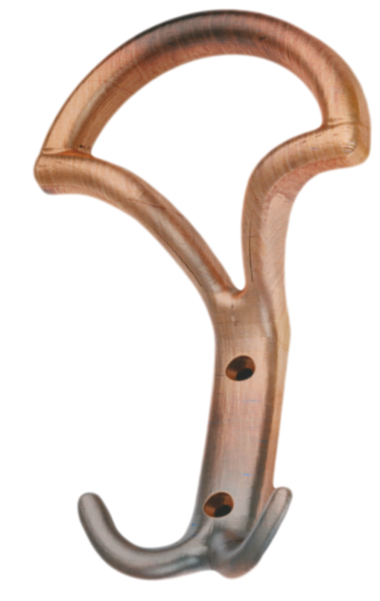 Cuier P 308 (maro-antic-18-317)