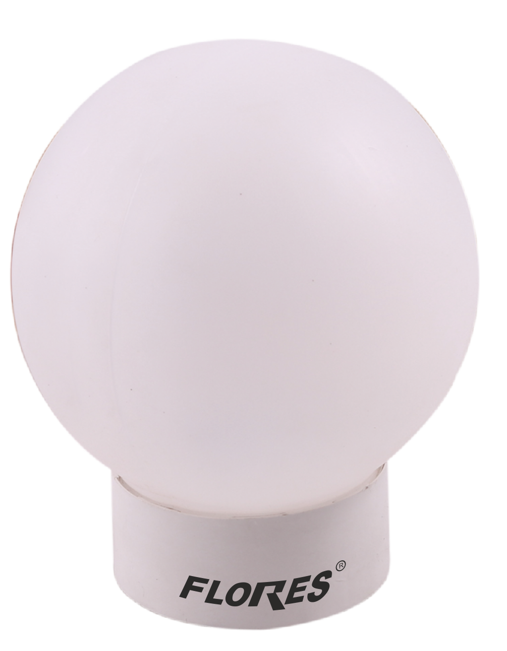 Fasung cu glob pentru tavan (220V)