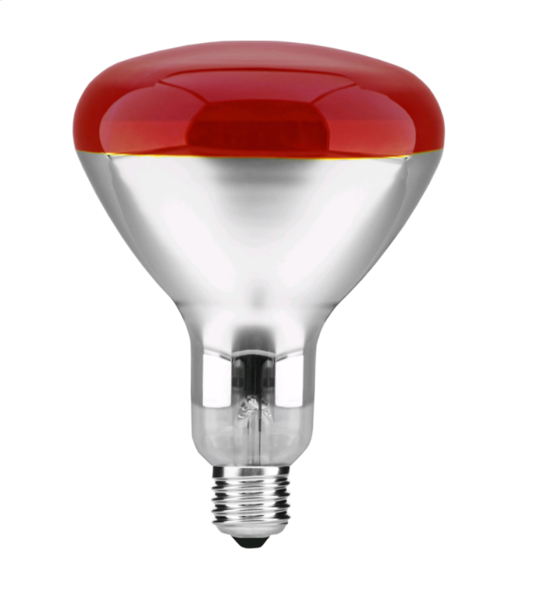 Bec infrarosu de 250W