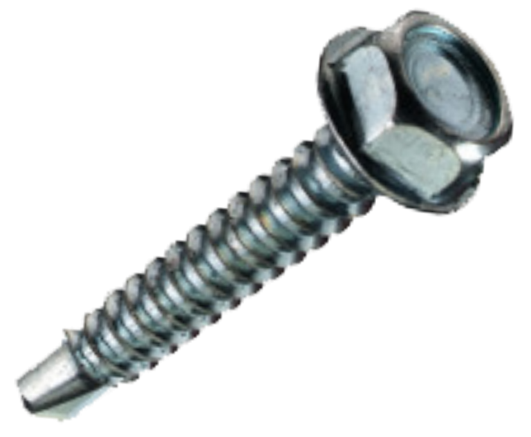 Holsurub autoforant cap hexagonal (4.8MMx38MM)