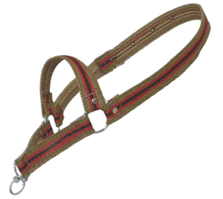 Capastru pentru animale (Nr.3-44CM-501-14)
