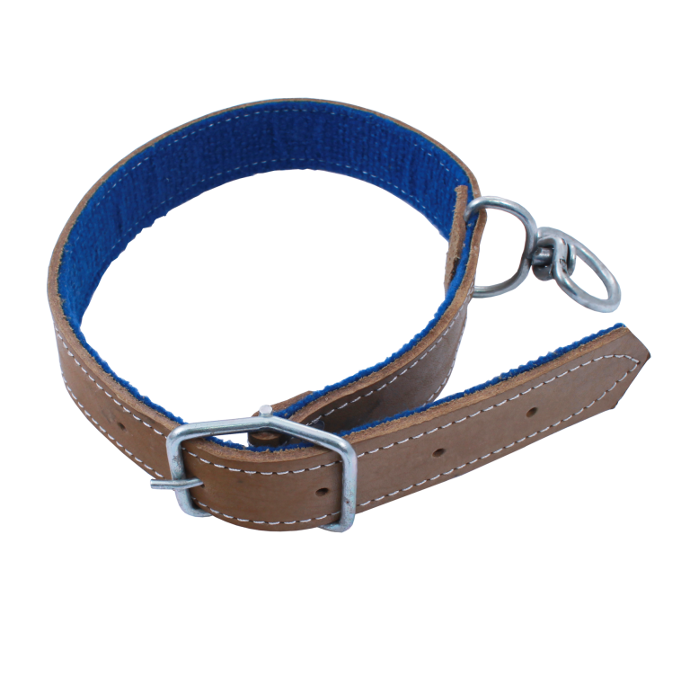 Curea pentru caine din piele+pasla (3.5CMx70CM Nr.1431)